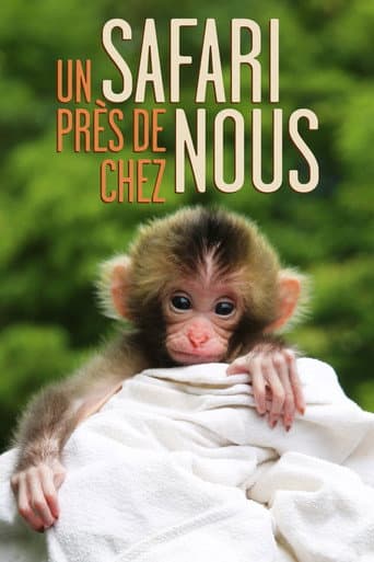 Poster for Un safari près de chez nous