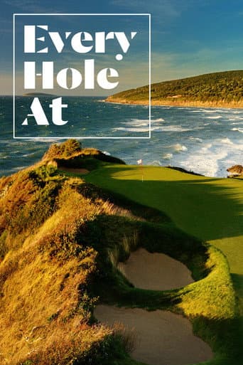 Poster for Every Hole At