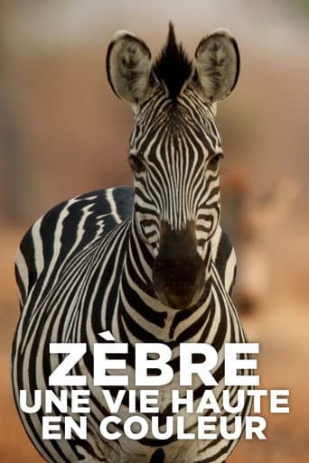 Poster for Zèbre, une vie haute en couleur