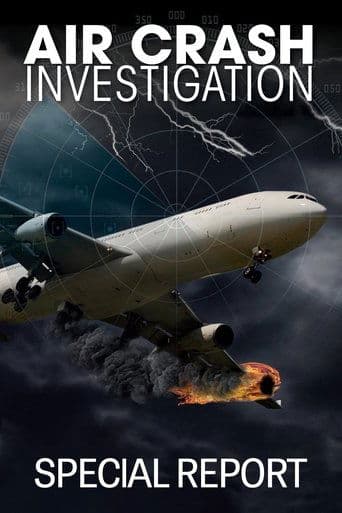 Poster for Mayday: The Accident Files