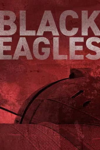 Poster for Black Eagles