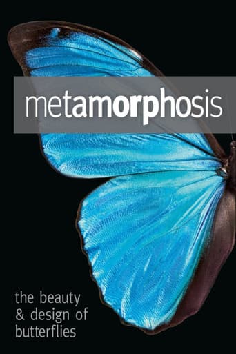 Poster for Metamorphosis: The Design and Beauty of Butterflies
