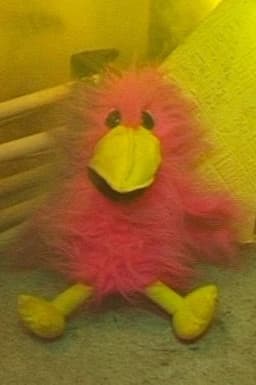 Photo of Pauline Bird