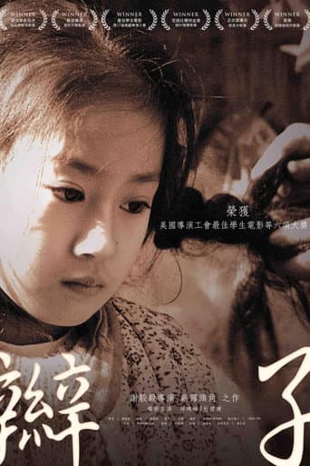Poster for Braid