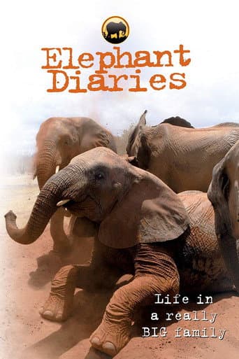 Poster for Elephant Diaries