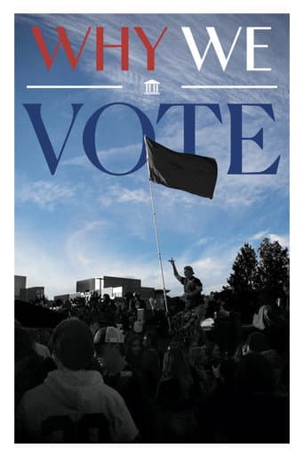 Poster for Why We Vote