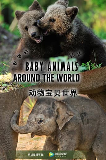 Poster for Baby Animals Around the World