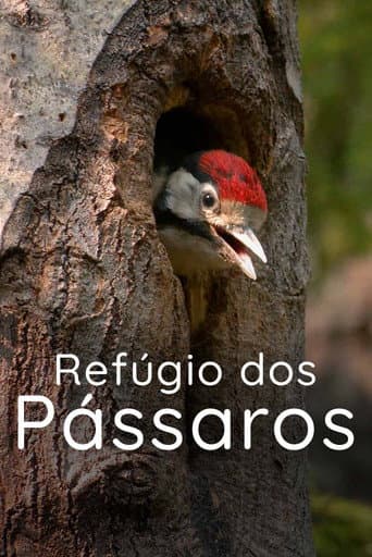Poster for Refúgio dos Pássaros