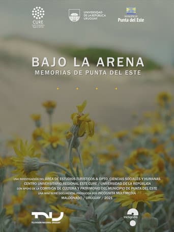 Poster for Bajo la arena. Memorias de Punta del Este