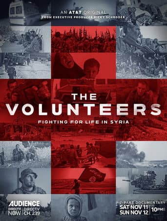 Poster for The Volunteers