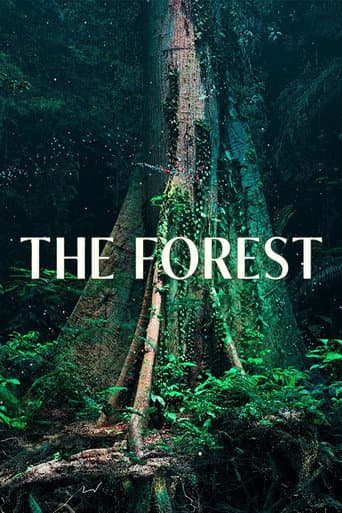 Poster for The Forest