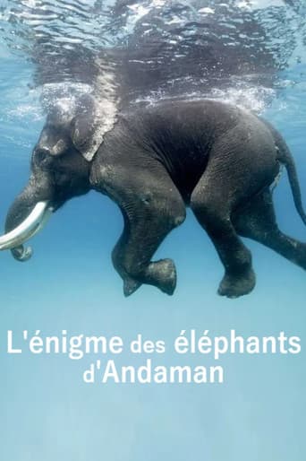 Poster for L'énigme des éléphants d'Andaman
