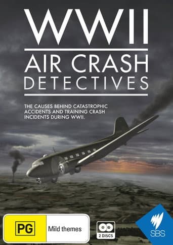 Poster for WWII Air Crash Detectives