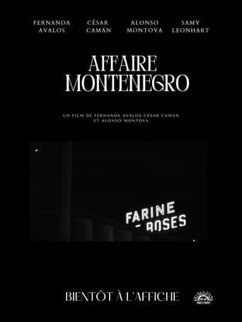 Poster for The Montenegro Affair