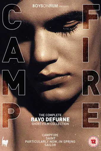 Poster for Boys On Film Presents: Campfire