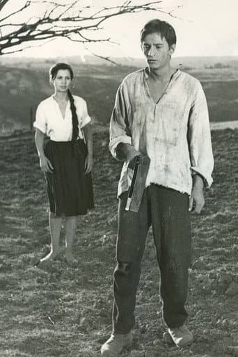 Poster for Comoara din Vadul Vechi