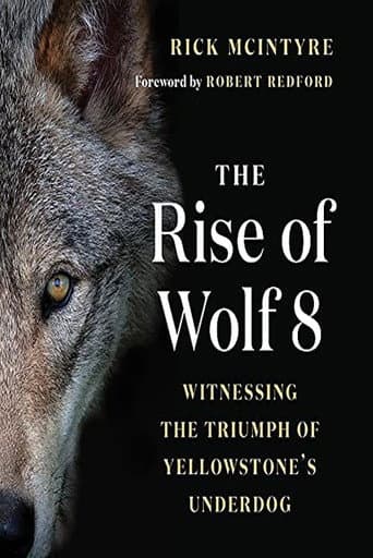 Poster for The Alpha Wolves of Yellowstone