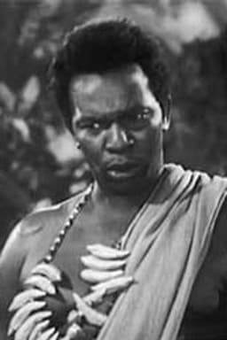 Photo of Martin Wilkins