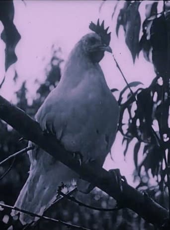 Poster for The Last Word in Chickens