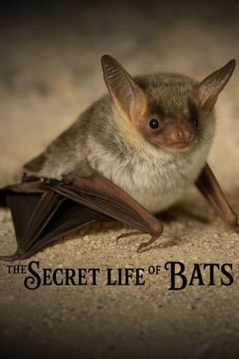Poster for The Secret Life of Bats