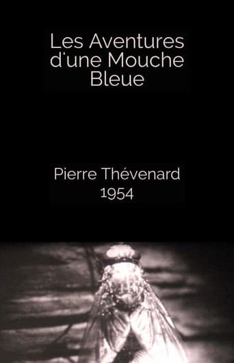 Poster for The Adventures of a Blue Fly